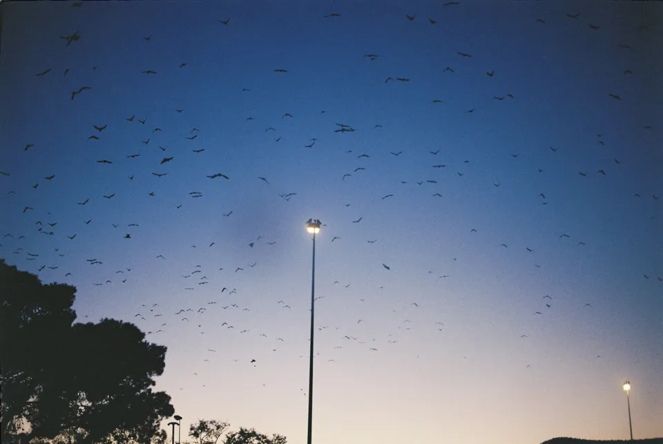 Still 12